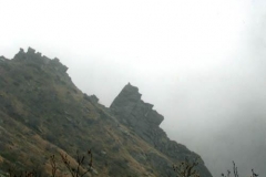 poeta