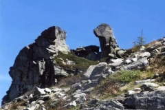 profili