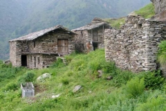 barma-daut