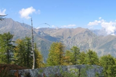 colbarant