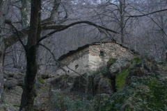 p1100245m