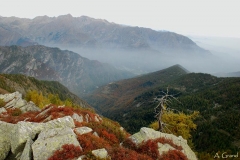 altavallepellice