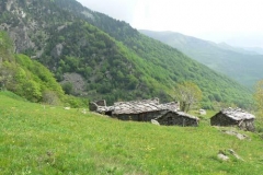 chiotbobbio