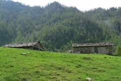 chiotdlasella