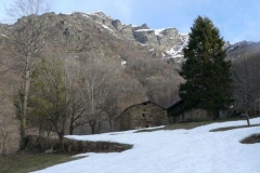 ciarbunil
