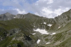 colpurselg