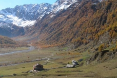 concapraautunno
