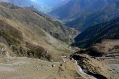 crosennetta