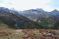 fiunira