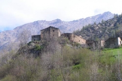 garneirogna2