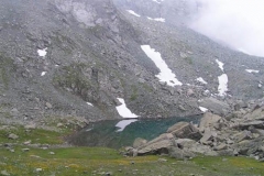 lagonero