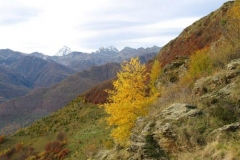 panoramadarocaciabert