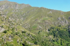 scorcioangrognaalta