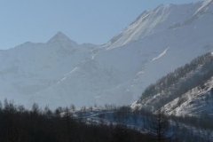 vscournour