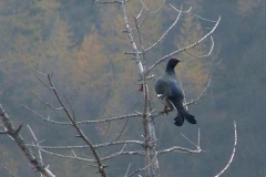 dscf4800m