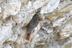 p1010031m