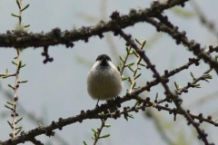 p1020220m