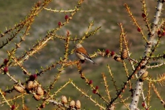 p1020373m