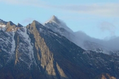 bucienebbie