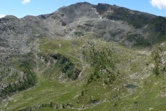 gardetta
