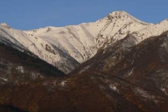 grantruc