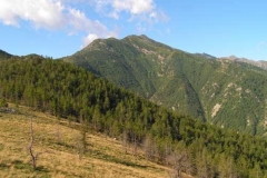 grantruc2
