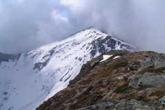 inversovergia