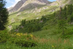 puntacapra
