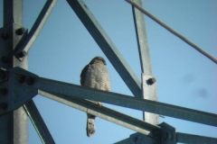 dscn1649