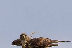poianaetopo2