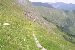 scollerodoretto