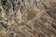 sfautet