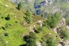 sroccaciabert