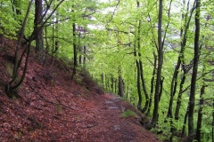 infaggeta