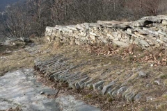 particolaremulattiera