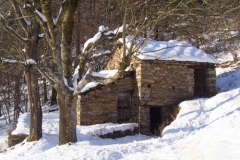 MiandaRibetti