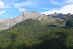 albergian