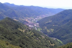 bassavalchisone