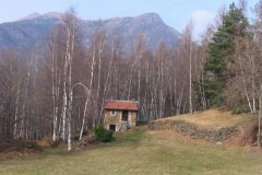 ciabotpinasca