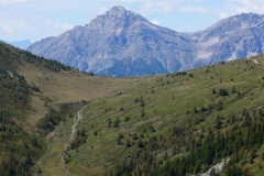 collecostapiana