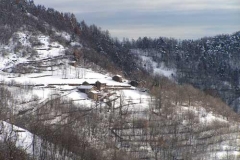 iervur-ribetti
