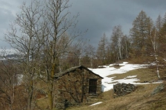 pralumier3