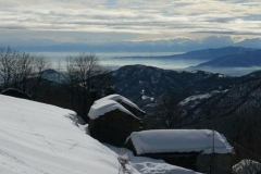 ribetti2