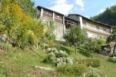 torniniconfiori