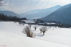 villarperosa