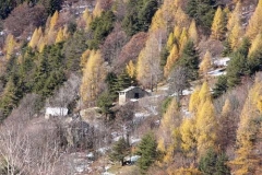 P1000650m