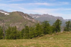 RoccaBiancaVGm