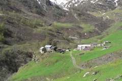 balma