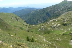 balma2