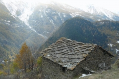 ciampdarmand